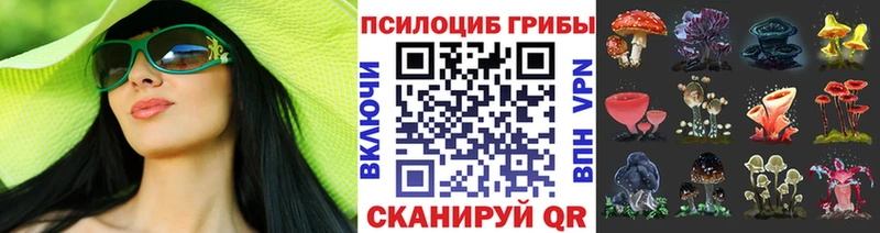 Галлюциногенные грибы GOLDEN TEACHER  где найти   OMG сайт  Балей 